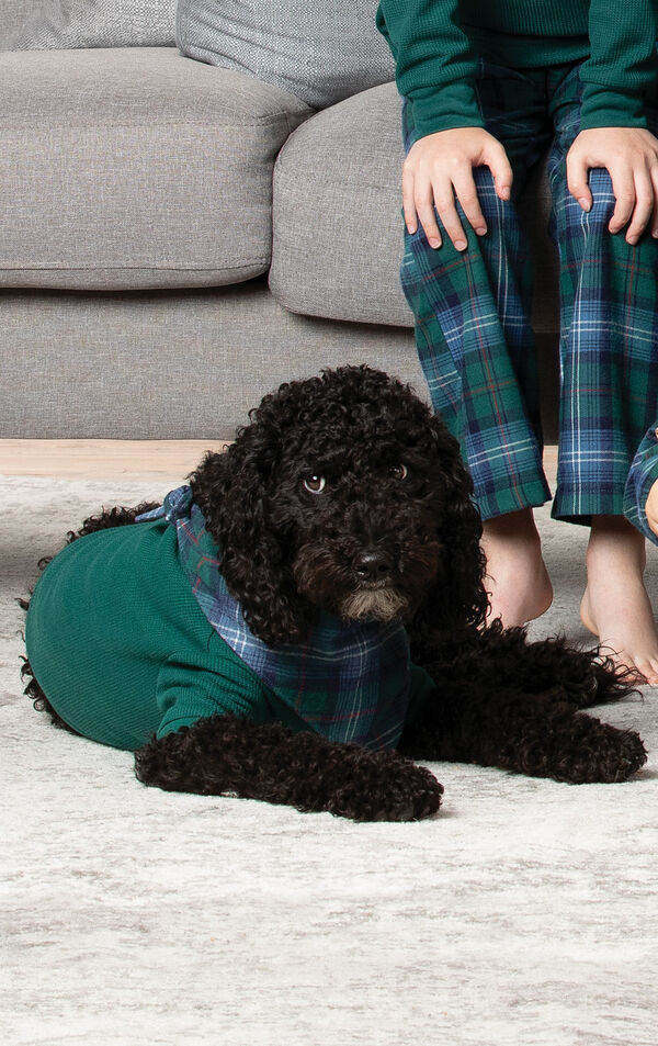 Dog laying on carpet wearing Green and Blue Classic Heritage Plaid Dog PJs - a Green thermal PJ with Plaid handkerchief