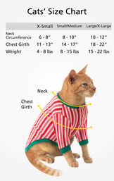 Cats' Sizes X-Small (for cats 4-8 lbs), Small/Medium (for cats 8-15 lbs) and Large/X-Large (for cats 15-22 lbs) image number 3