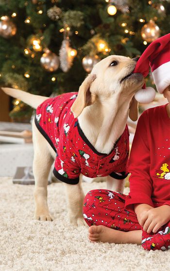 Dog wearing Red Matching Snoopy and Woodstock Pajamas, playing with boy