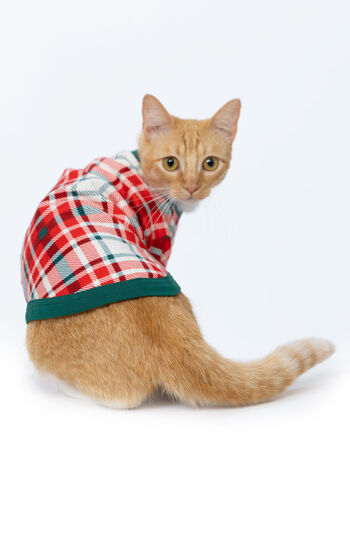 Modern Plaid Cat Pajamas - Evergreen