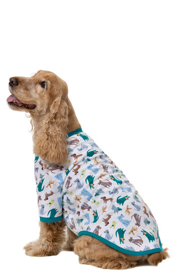 Dog wearing Teal and White Dog Print Pajama for Dogs, sitting down