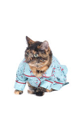 Green Holiberry Cat PJ image number 1