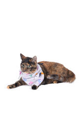 Pet Lovers Cat Bandana Pajamas image number 0