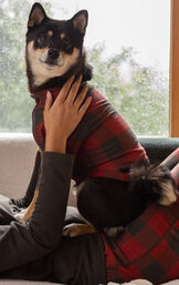 Buffalo Plaid Pet & Owner Set - Warm Gray & Red image number 2