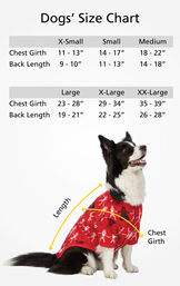Dog Sizes XS (Chest Girth 11-13"/Back Length 9-10"), SM (Chest Girth 14-17"/Back Length 11-13"), MD (Chest Girth 18-22"/Back Length 14-18"), LG (Chest 23-28"/Back Length 19-21"), XL (Chest 29-34"/Back Length 22-25"), XL (Chest 35-39"/Back Length 26-28") image number 3