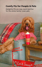 Big dog sitting on couch wearing Candy Cane Fleece Pajamas for Pets - Comfy PJs for People and Pets! image number 3