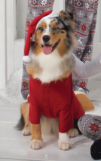 Dog wearing matching Red Thermal PJs and a Santa Hat for Pets