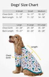 Dogs' Size Chart: XS (Chest Girth: 11-13", Back Length 9-10"), SM (Chest: 14-17", Back 11-13"), MD (Chest: 18-22", Back 14-18"), LG (Chest 23-28", Back 19-21"), XL (Chest: 29-34", Back: 22-25"), XXL (Chest: 35-39", Back 26-28") image number 2