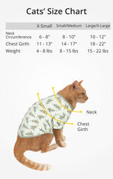 Cat Size Chart image number 3