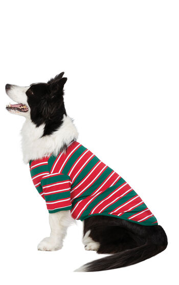 Dog wearing Red, Green and White Christmas Stripe Dog Pajamas
