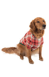Modern Plaid Dog Pajamas - Evergreen image number 0