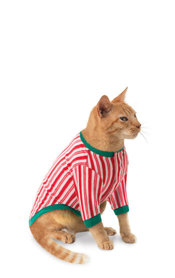 Candy Cane Fleece Cat Pajamas